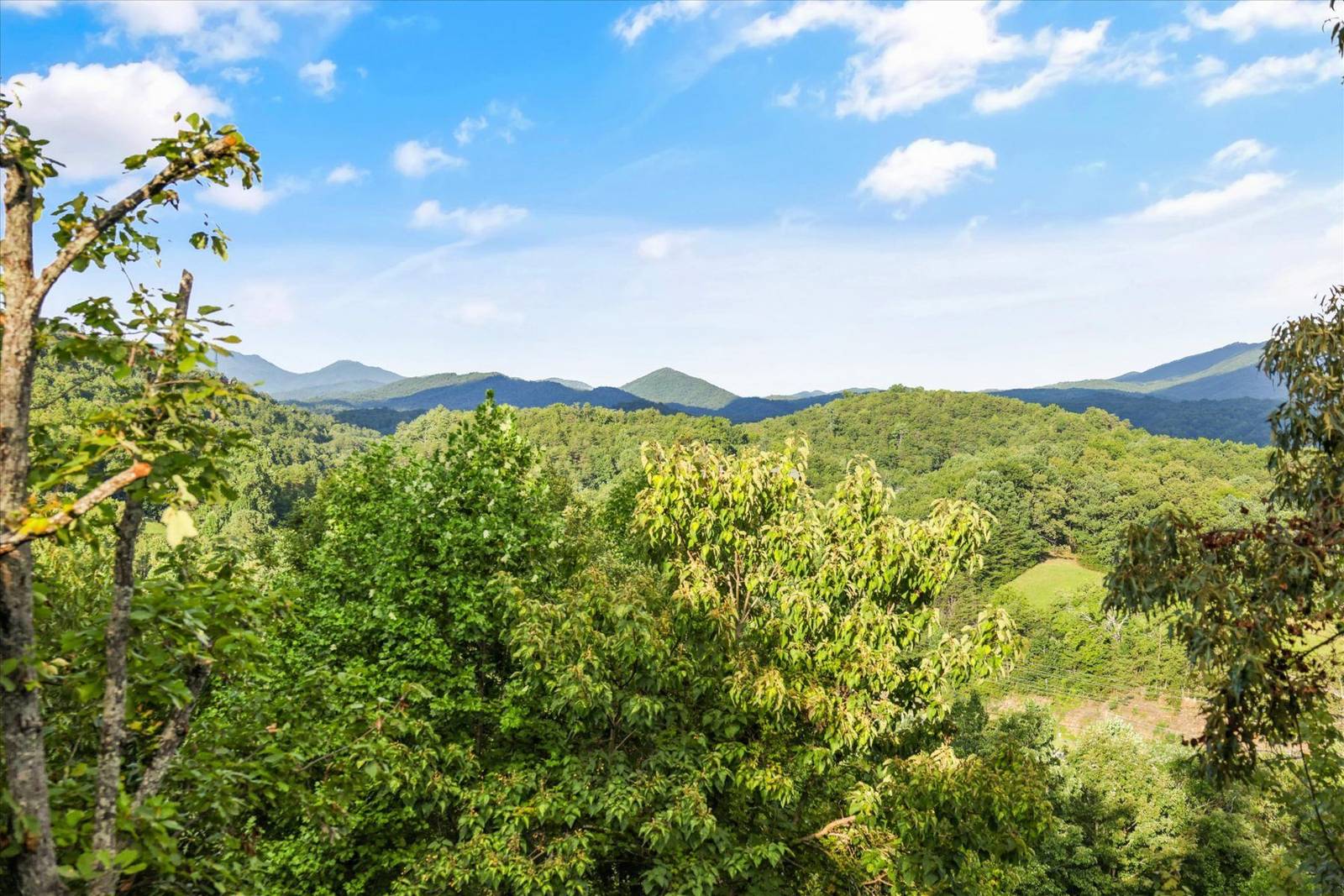 Mountain landscape with green trees under a blue sky with clouds